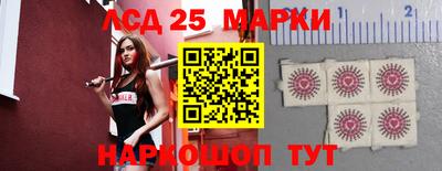 мяу мяу мука Краснознаменск