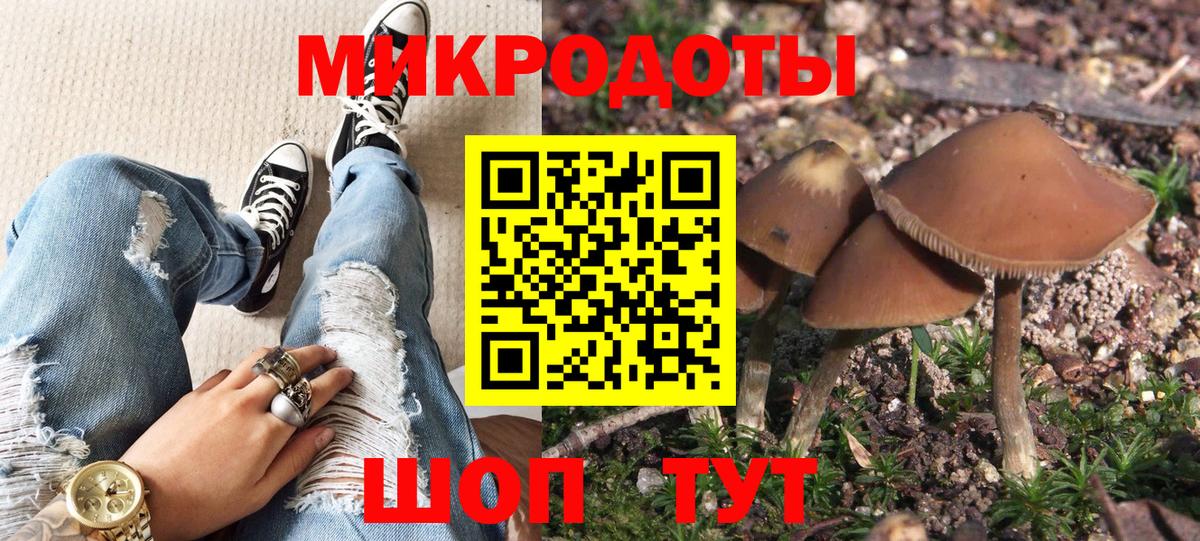 Якутск  Псилоцибиновые грибы Psilocybine cubensis  Вход с VPN 