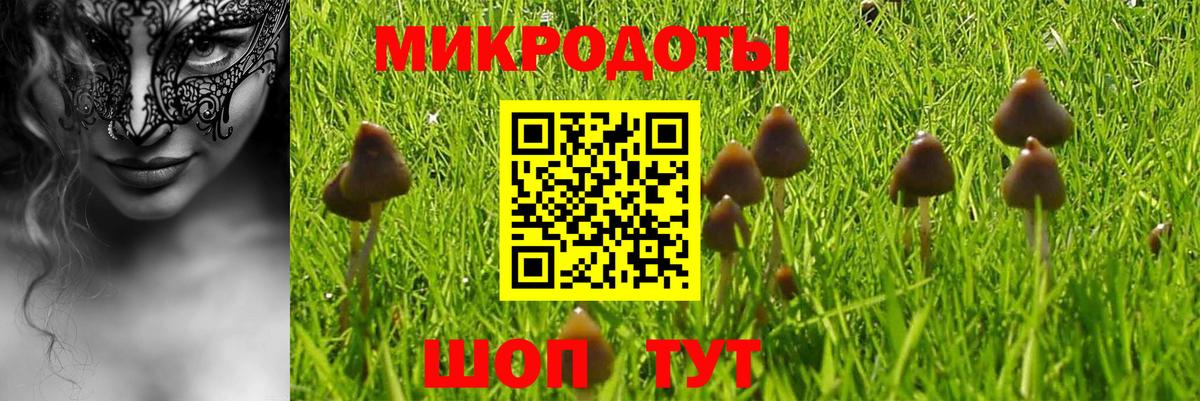 Псилоцибиновые грибы прущие грибы Якутск